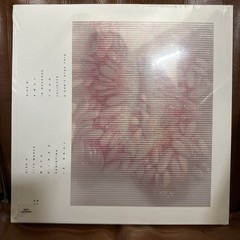 Look Outside Your Window Vinyl Record RSD 2026