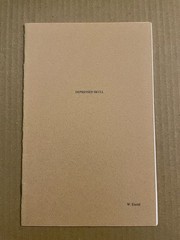 WES EISOLD Depressed Skull Zine – COLD CAVE – AMERICAN NIGHTMARE Heartworm 4