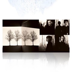 AFI – Decemberunderground IVC Edition Bone Color Vinyl 2LP – IN HAND