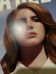 Lana Del Rey Born to Die 12″ Black Vinyl LP Pop Interscope Cardboard Sleeve