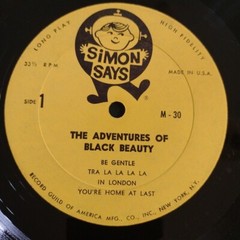 The Adventures of Black Beauty and the Story of Aladdin and His Wonderful Lamp
