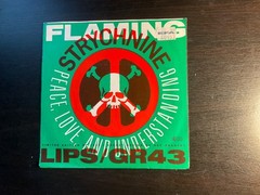 Flaming Lips – Drug Machine 7” (Glitterhouse Germany) VG+ / VG