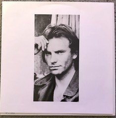 Sting Nothing Like The Sun 2LP 1987 A&M Vinyl Double Album LP