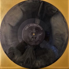 THE CHAMELEONS: STRANGE TIMES (Ltd.Black.Ed.35th Ann.Smoke 2LP UK Imp)(MA2022)