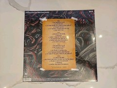 A Day to Remember Homesick Clear Red Blue Marble Vinyl 2LP LE 1000 DTC Exclusive