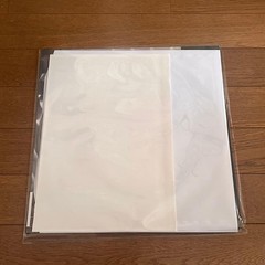 Cameron Winter Heavy Metal LP Japan Tour Edition Big Love 300 OBI Japan -FS