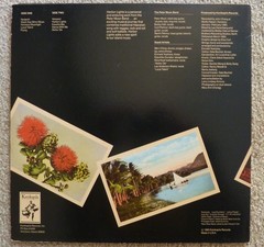 Peter Moon & Hawaiian Slack Key Guitar Assorted 9-LP Record Collection