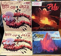 Arthur Lyman LP 12 Vinyl Record Hawaiian Jazz Marimba Vibraphone Exotica RARE