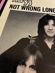 LOT of 2 Todd Rundgren / NAZZ ~ 45 rpm PICTURE SLEEVES ONLY ~
