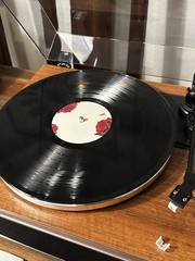 Lana Del Rey – Born To Die Standard Edition Vinyl