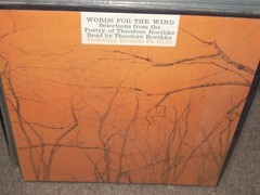 THEODORE ROETHKE words for the wind ( spoken ) booklet