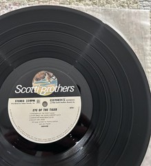 SURVIVOR EYE OF THE TIGER SCOTTI BROS. C25Y0024 JAPAN LP OBI 1982 1ST PRESS MN-