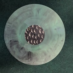 The Distillers Sing Sing Death House 12″ Vinyl LP Colored Green Gray