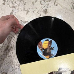 Tyler the Creator Scum Fuck Flower Boy Vinyl LP Columbia 2017 88985469051 2010s