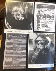 The Professionals Live in Berkeley, California 1982 Sex Pistols