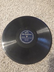 10 Mixed BlueBird Vinyl Records