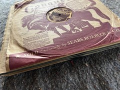 Lot of 14x ACCORDION/World/FOLK/PRE-WAR 1920s-1950s 10″ 78rpm