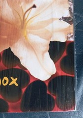 LP Nirvana Heart Shaped Box Factory Sealed Original UK Pressing (Last Single)