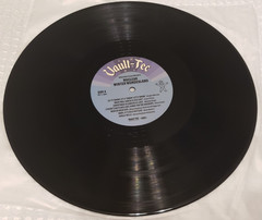 Fallout Nuclear Winter Wonderland – LP Vinyl Black Variant – Not Moonshake