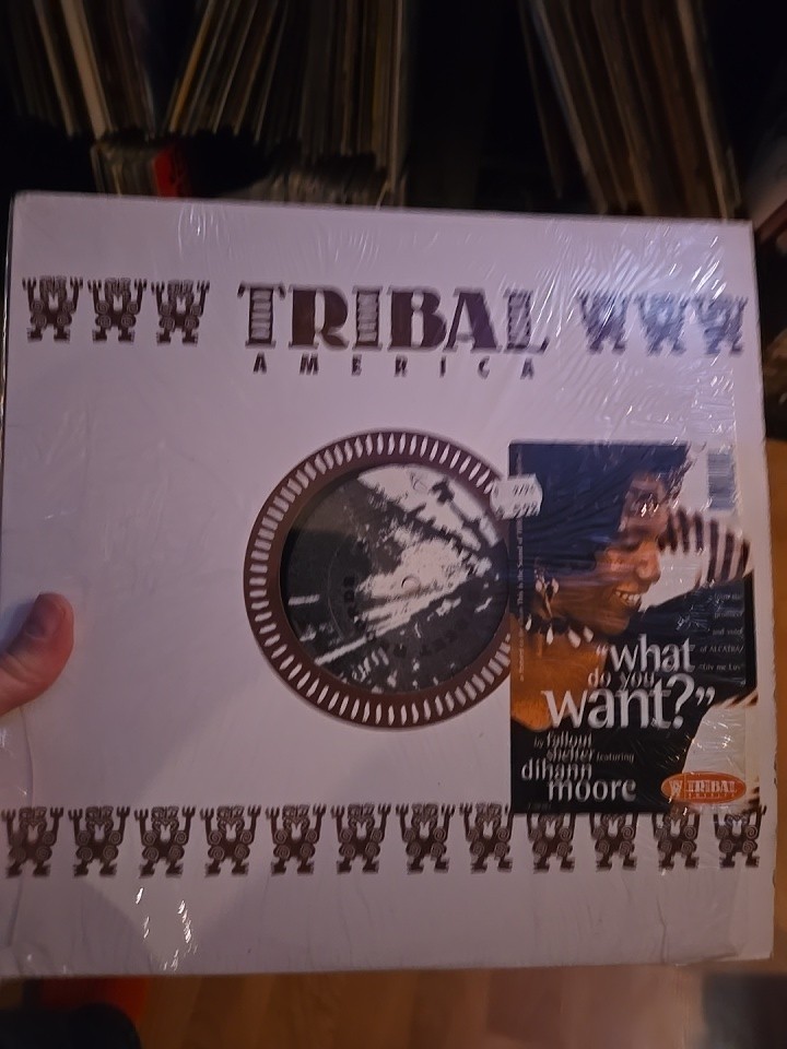 FALLOUT SHELTER WHAT DO YOU WANT? TRIBAL AMERICA Y58382 US SHRINK VINYL 12