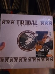 FALLOUT SHELTER WHAT DO YOU WANT? TRIBAL AMERICA Y58382 US SHRINK VINYL 12