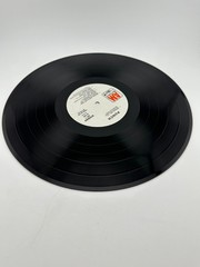 Punch Self-Titled LP White Label Promo A&M SP 4307 VG+/VG