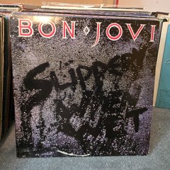 Classic Rock LP Album Jackets Sleeves Covers Only – No Vinyl Records – You Pick