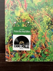 JHENE AIKO Trip SEALED LE 2LP Picture Disc RSD 2026 Record Store Day
