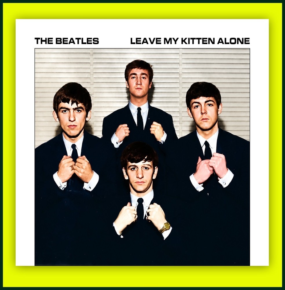 The Beatles Leave My Kitten Alone 45 Pic Sleeve – Vinyl Not Included