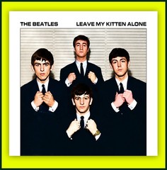 The Beatles Leave My Kitten Alone 45 Pic Sleeve – Vinyl Not Included