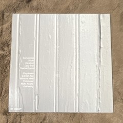 Beach Fossils – S/T 10th Anniversary Seafoam Vinyl Wild Nothings Indie Pop 2010s