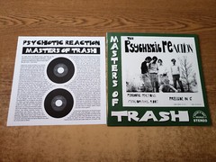 RARE 2000s MINT-EXC Psychotic Reaction – Masters Of Trash 10″ 45RPM