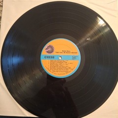 MUDDY WATERS “THEY CALL ME MUDDY WATERS” REISSUE USA VINYL LP 1977 VG+/VG+