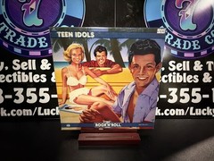 Various Artists – The Rock ‘N’ Roll Era: Teen Idols 2xLP Vinyl Record Compilatio