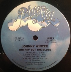 Johnny Winter – Nothin’ But The Blues (LP, Album, Pit) (Very Good Plus (VG+)) 39