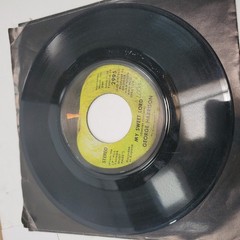 Lot of 15 Rock Pop Folk-Rock 1960s/70s Vinyl 45’s