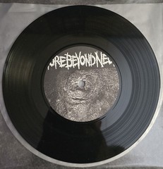 Gore Beyond Necropsy Faecal Noise Holocaust 7″ 1996 Icy Illusions Grind EX/VG