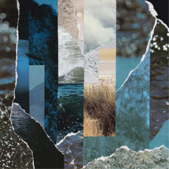 Cremation Lily Dreams Drenched in Static (Vinyl) 12″ Album (UK IMPORT)