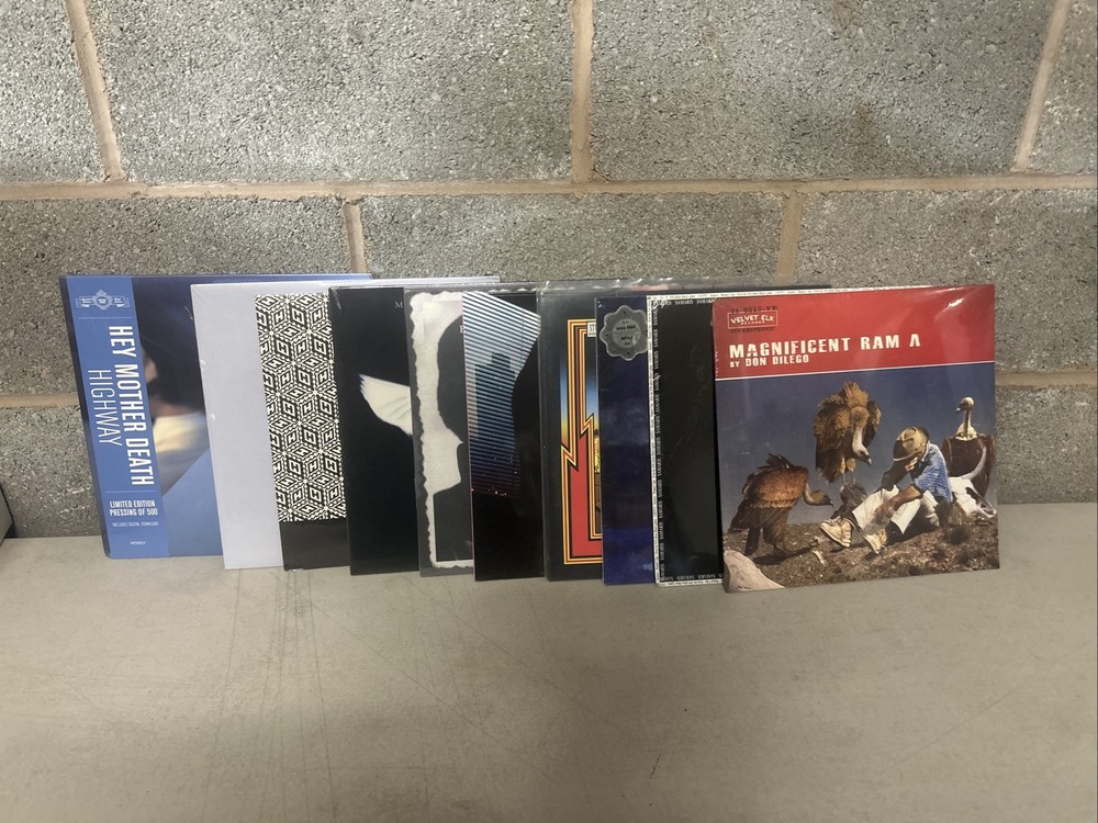 10 x 12″ Vinyl Records Bundle Job Lot New & Sealed LP Collection Mixed Artists