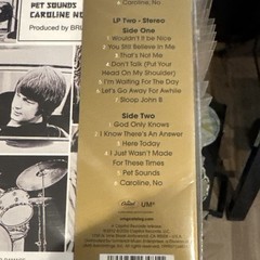 Beach Boys Pet Sounds VINYLPHYLE Mono/Stereo 2 180g LPs 60th Annivers NEW Sealed