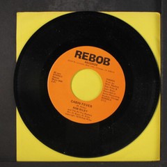 ROB RILEY: cabin fever / i’m a snow plow baby REBOB 7″ Single 45 RPM