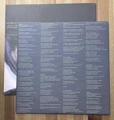 The Pains Of Being Pure At Heart: Belong 2011 1st pressing LP Indie, Dreampop
