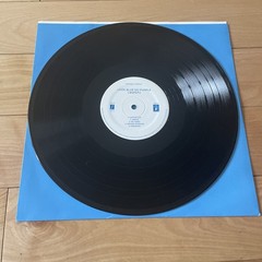 Look Blue Go Purple Vinyl LP Still Bewitched Flying Nun Records