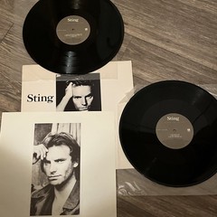 Vintage 1987 Sting Nothing Like The Sun Vinyl 2LP AFM Pop Rock Record Album