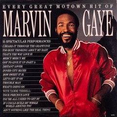 MARVIN GAYE Every Great Motown Hit of Marvin Gaye 1983 LP Vinyl : EX/VG+ 6058ML