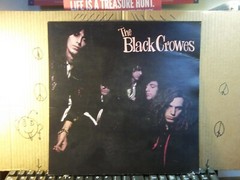 Orig Vintage Black Crows 1990 12×12 promo Flat/poster Not a record