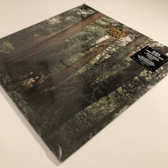 DJDS, Stand Up and Speak, Vinyl LP, Loma Vista 2015, NM/NM, Factory Sealed !