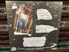PINK REASON Shit In The Garden 12″ vinyl LP experimental lo-fi post punk 2011