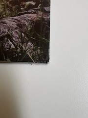 Wisp – If Not Winter The Demos Live Version Vinyl Record Store Day 2026 RSD 26