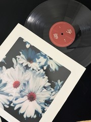 Lana Del Rey – Lust for Life – Dual Vinyl Record Set 2 LPs – FREE SHIPPING!